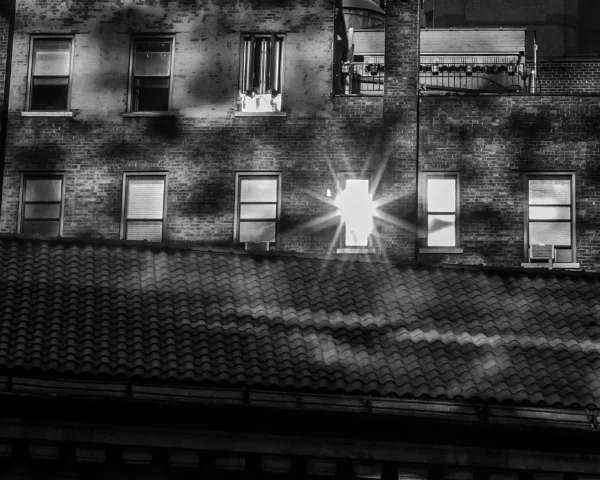 Mottled Shadows-.jpg