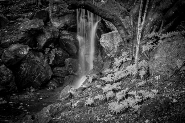 emotional landscape-6010.jpg