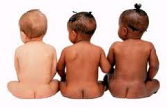 3 babies from behind.jpg