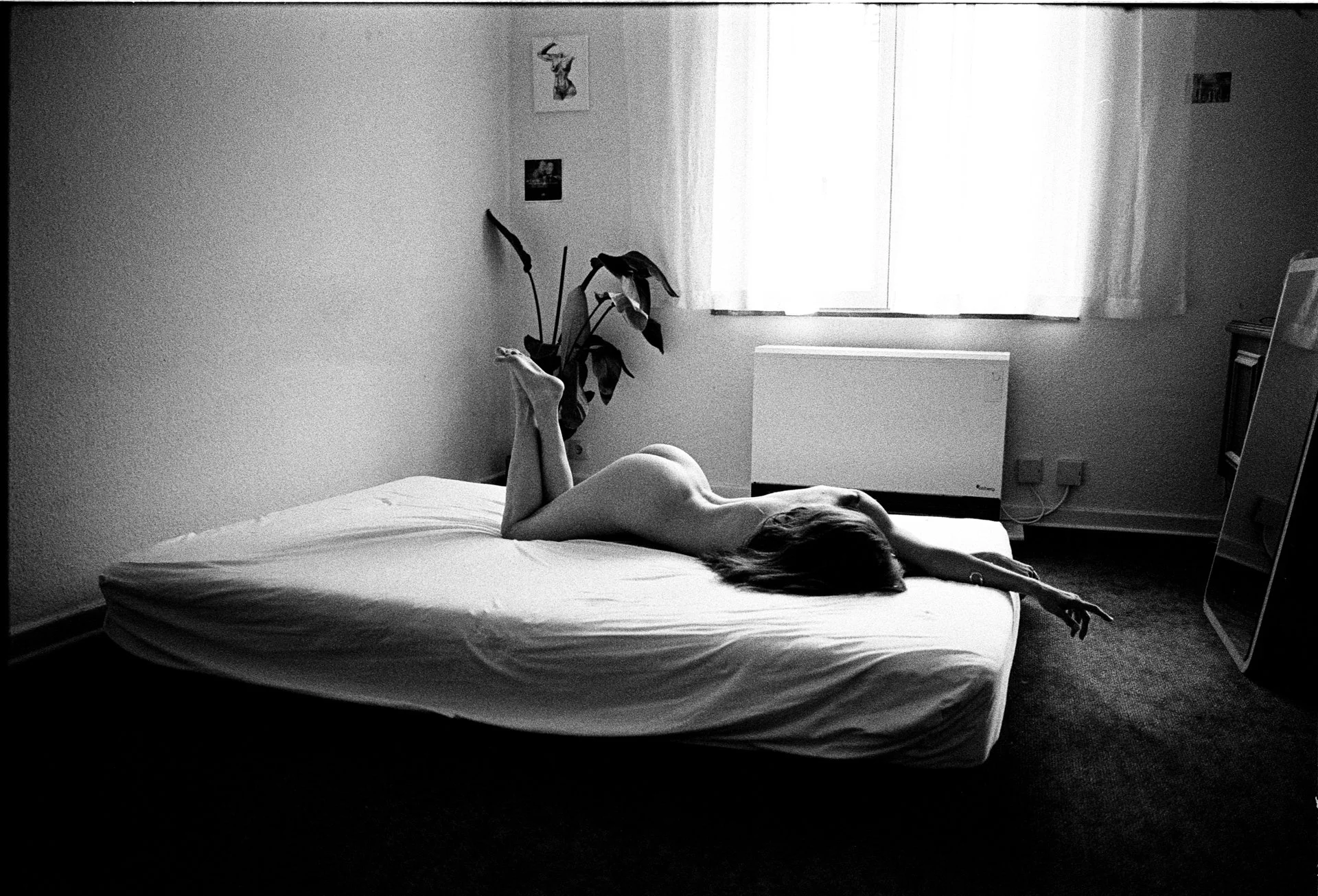 20260520_Emilia (9).jpg