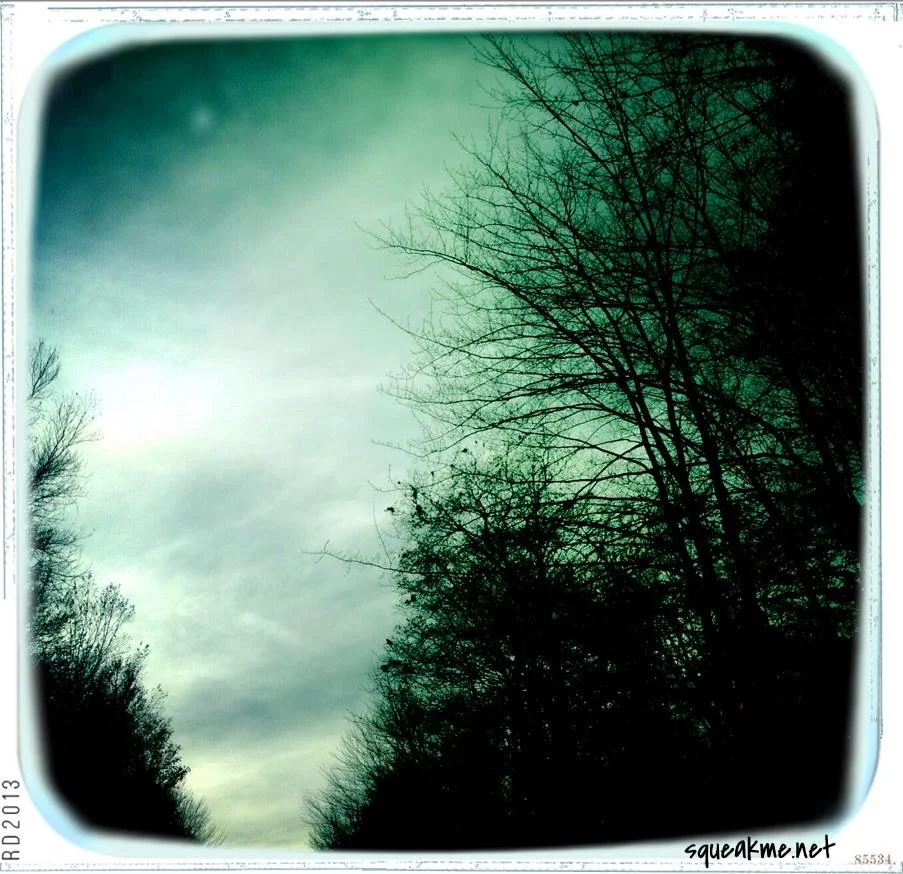 photo(2).JPG