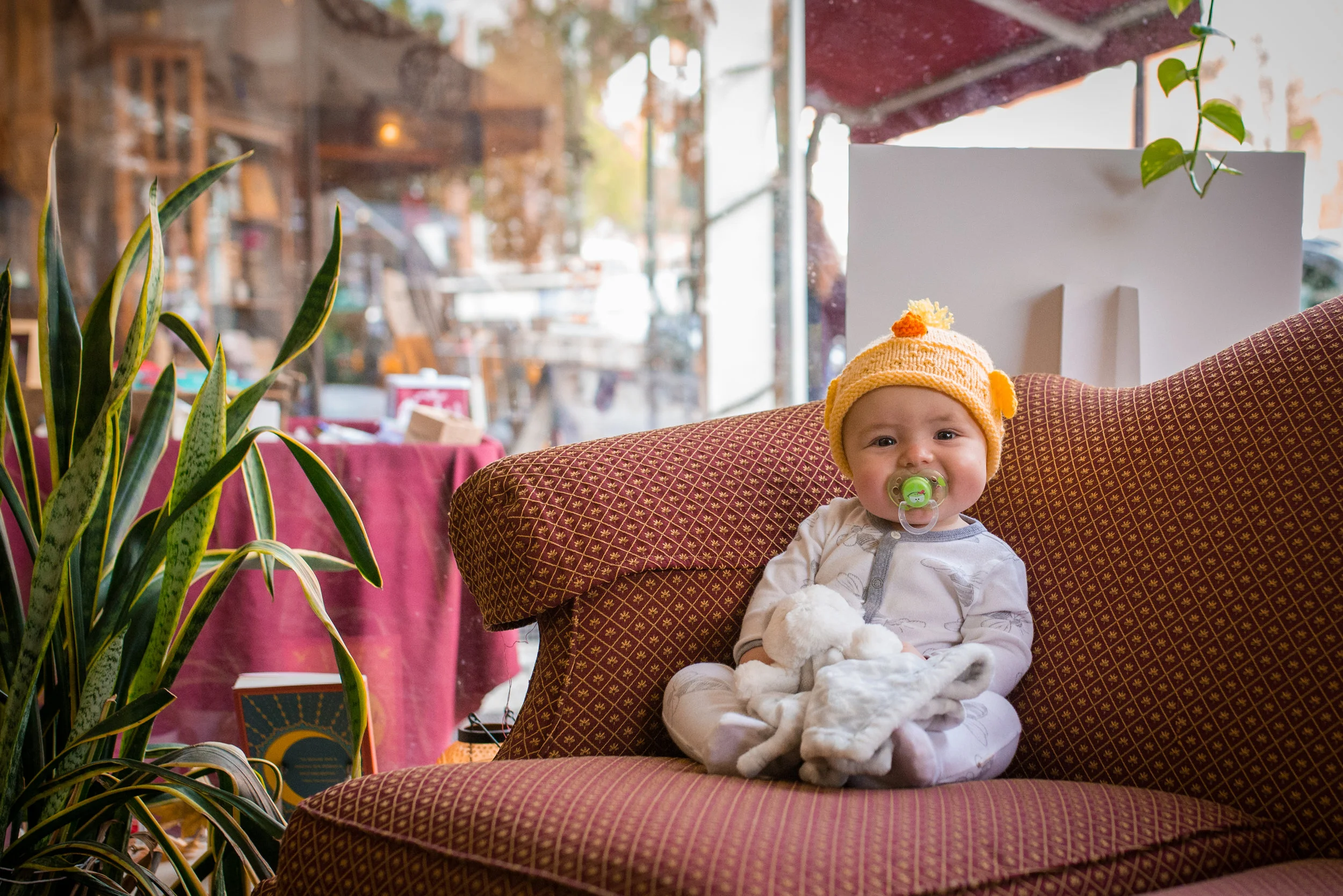 Doylestown Bookshop