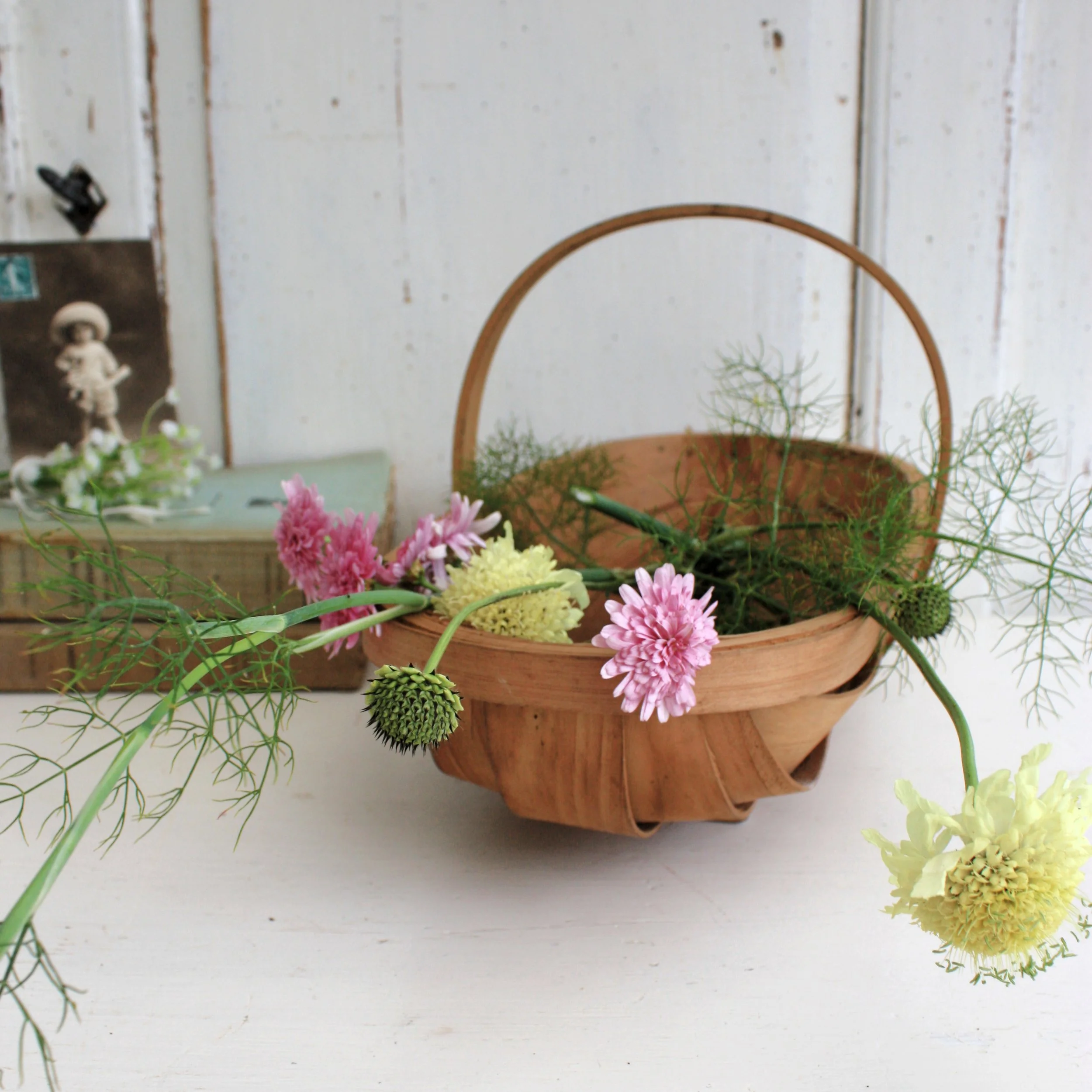 Cute Vintage Little Garden Trug or Produce Gathering Basket — RESTORED