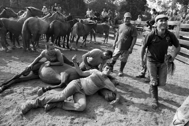A group of men pose proudly while one of them approaches someone in the public to offer the tail of the horse as a gift.