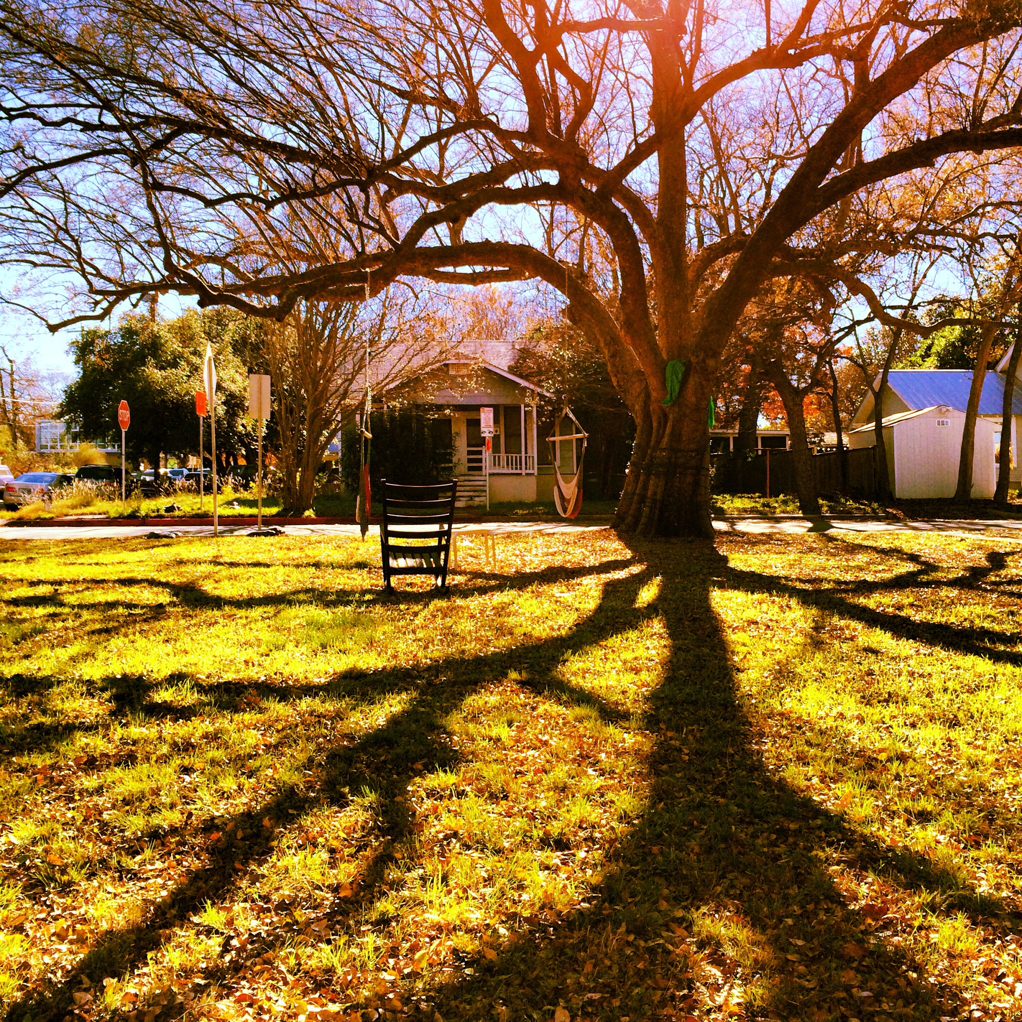 Bouldin Creek, Austin, TX - Dec 2013