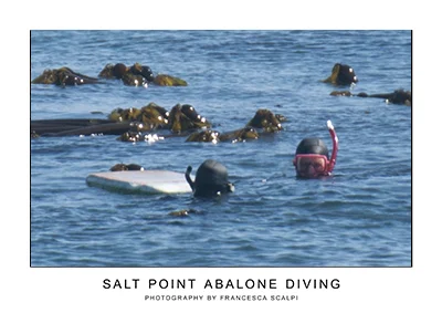 abalone.jpg