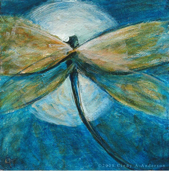 Dragonfly Encounter