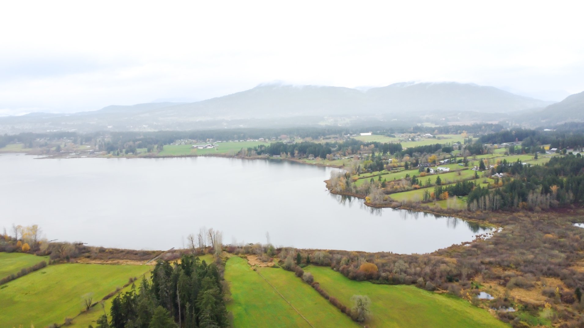 1206 Viewtop Rd Duncan Drone 1920-11.jpg