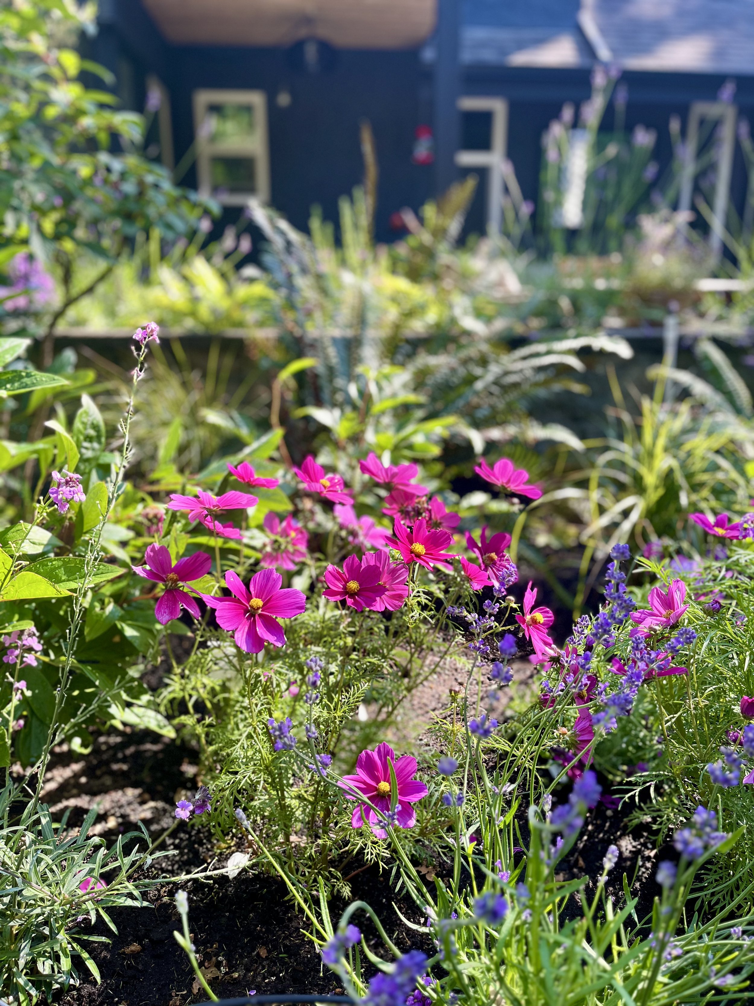 IMG_20260203_100054 (1).jpg