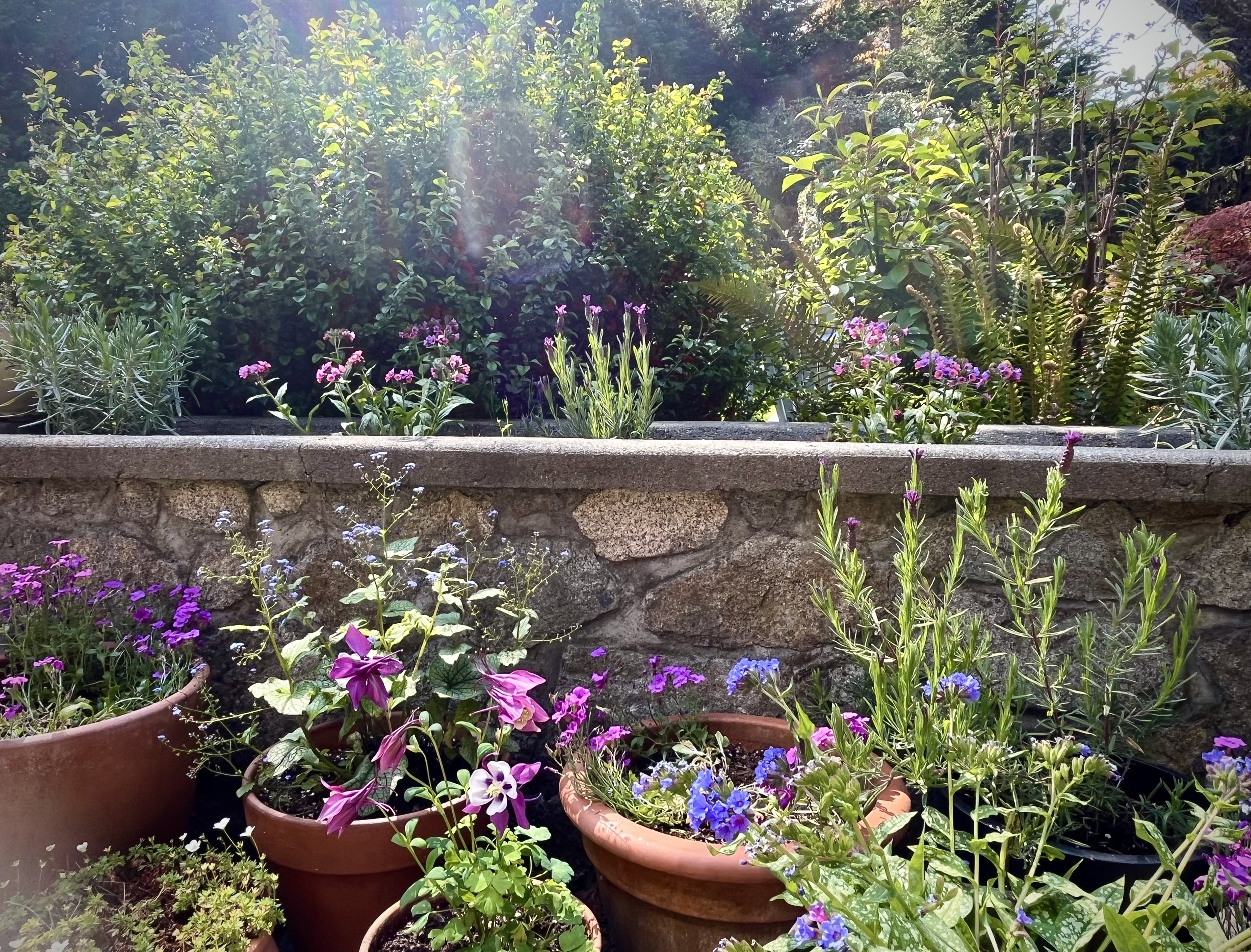 IMG_20260203_100054 (4).jpg