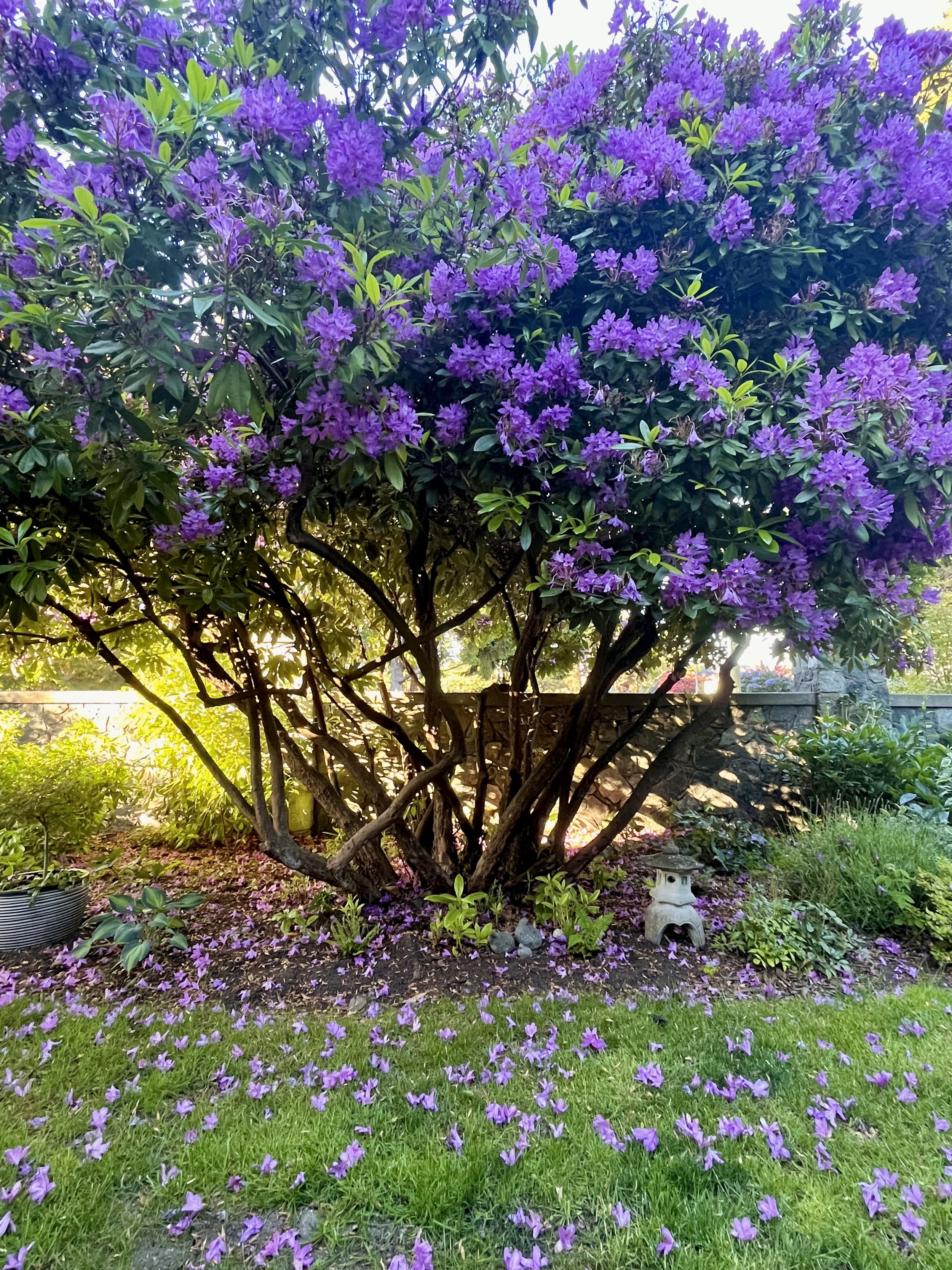 IMG_20260203_100054 (3).jpg