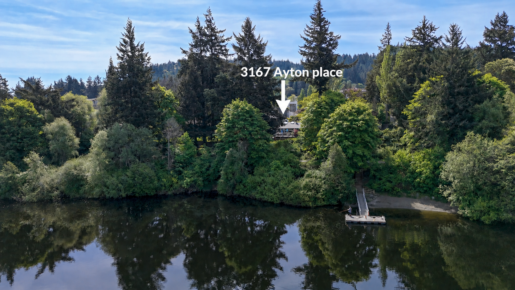 Aerial-4.png