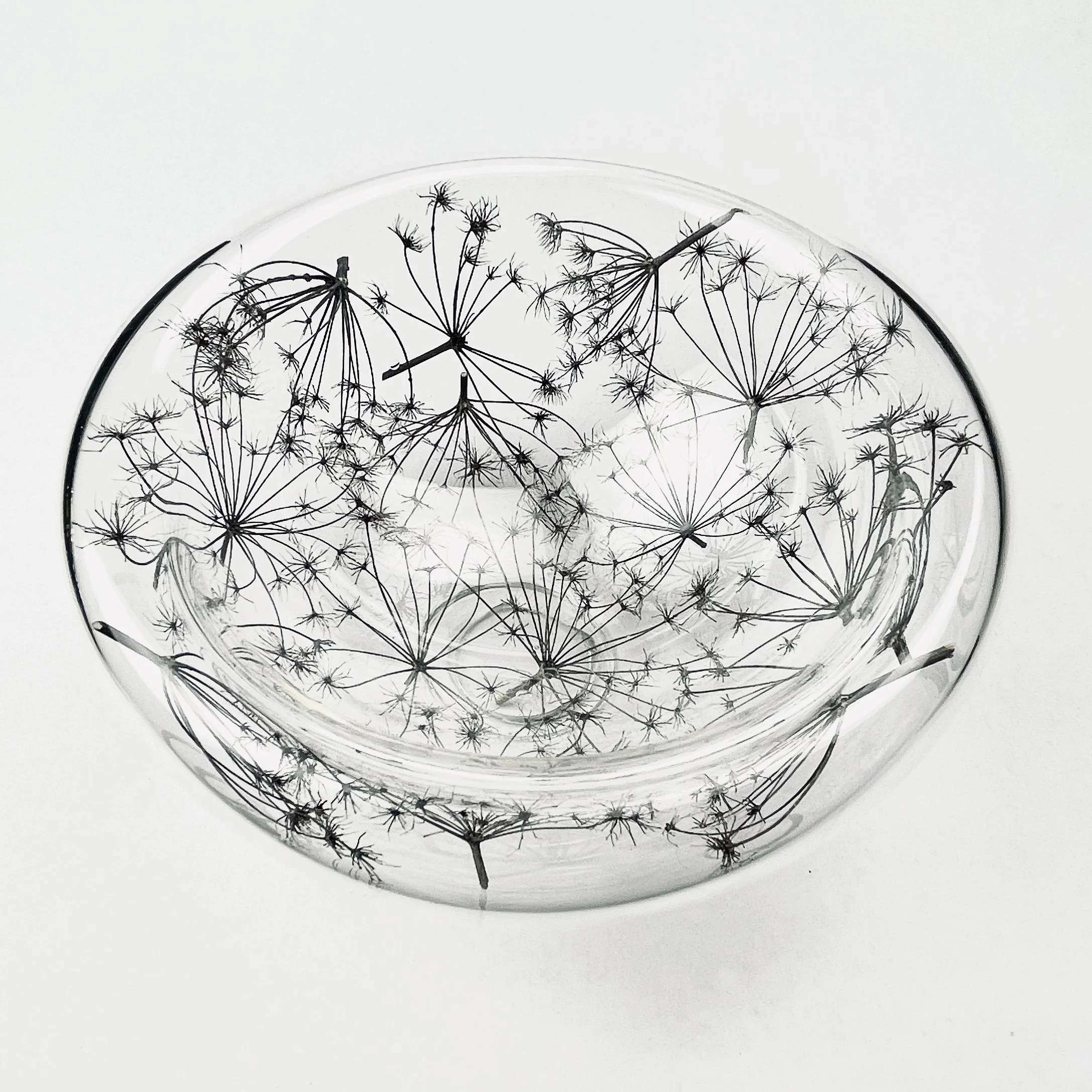 Nature Bowl - Fennel