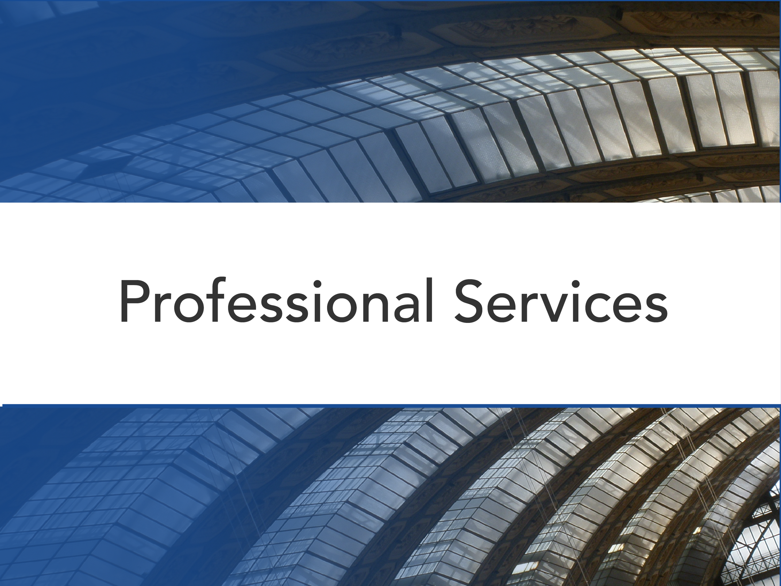 Experience Blocks_Professional Services.png