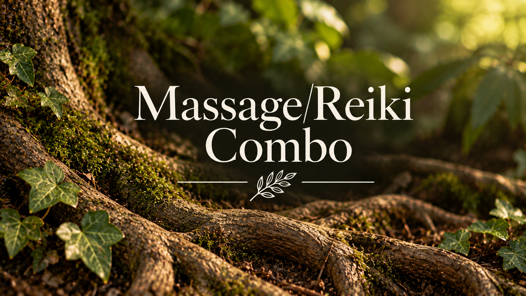 Massage/Reiki combo at the Grassroots Gallery & Massage in Rochester, NY &