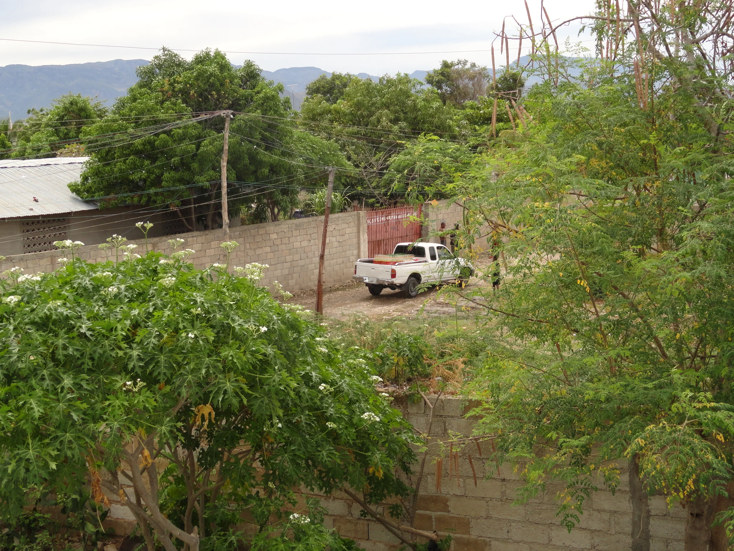 DSC01591.JPG