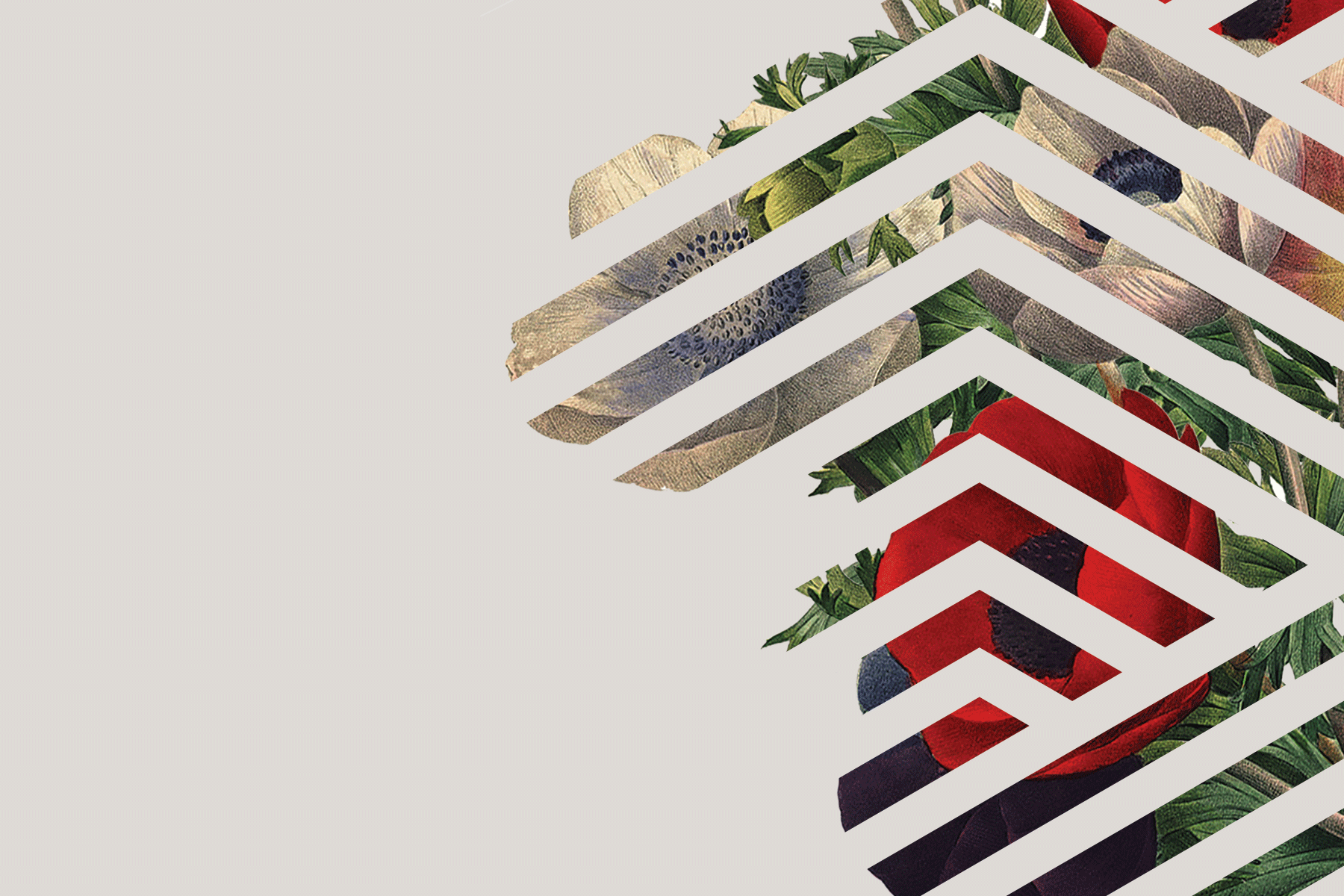 SarahAbdallah_Website.png