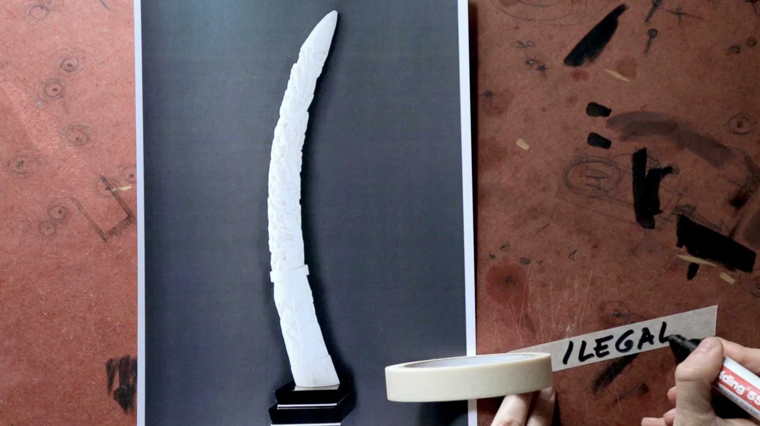 AMPLIFY: "One Horn, Five Pipes and Two Objects More"