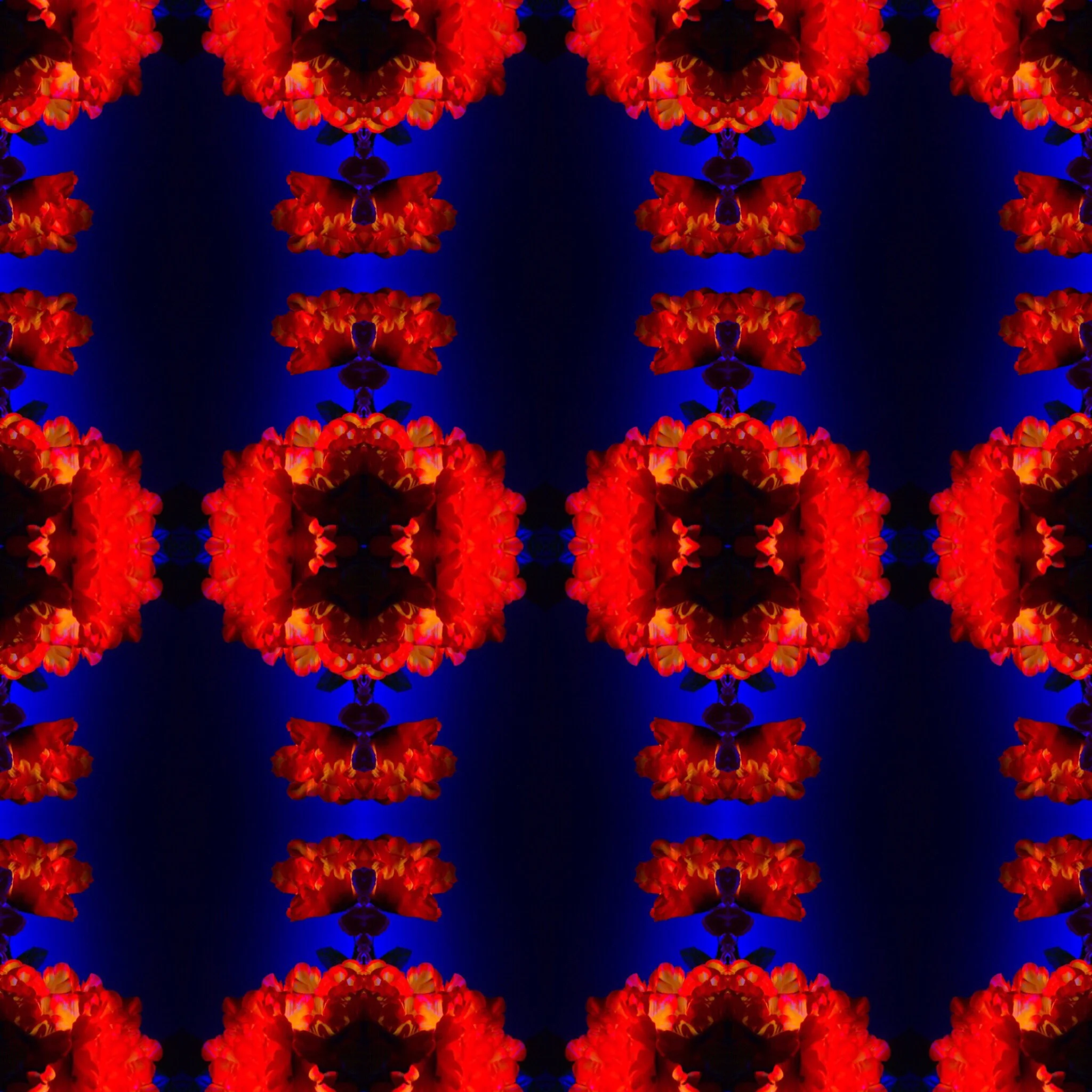 75C48B31-A9ED-42A3-A755-835B4B0B9DFD.jpg
