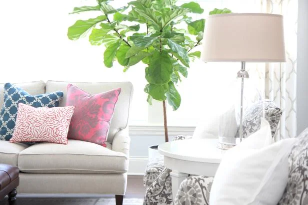 Photo courtesy Bria Hammel Interiors