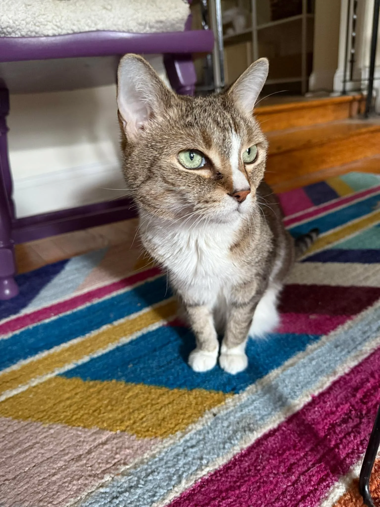 A Tuesday moment with Bennie