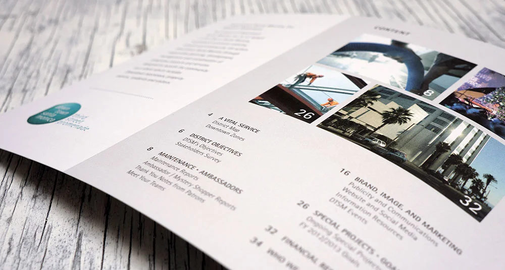 ivy-and-ink-design-dtsm-annual-report-11.jpg