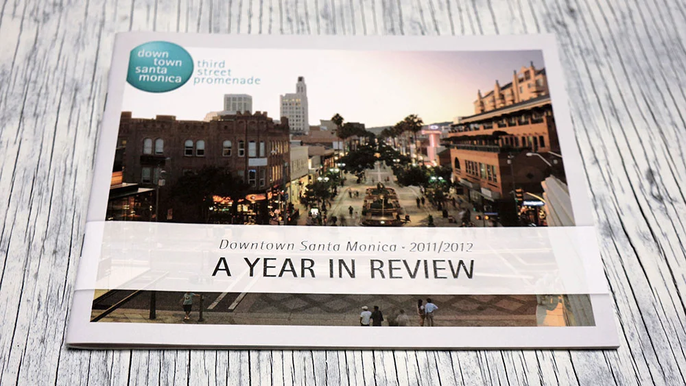 ivy-and-ink-design-dtsm-annual-report-14.jpg