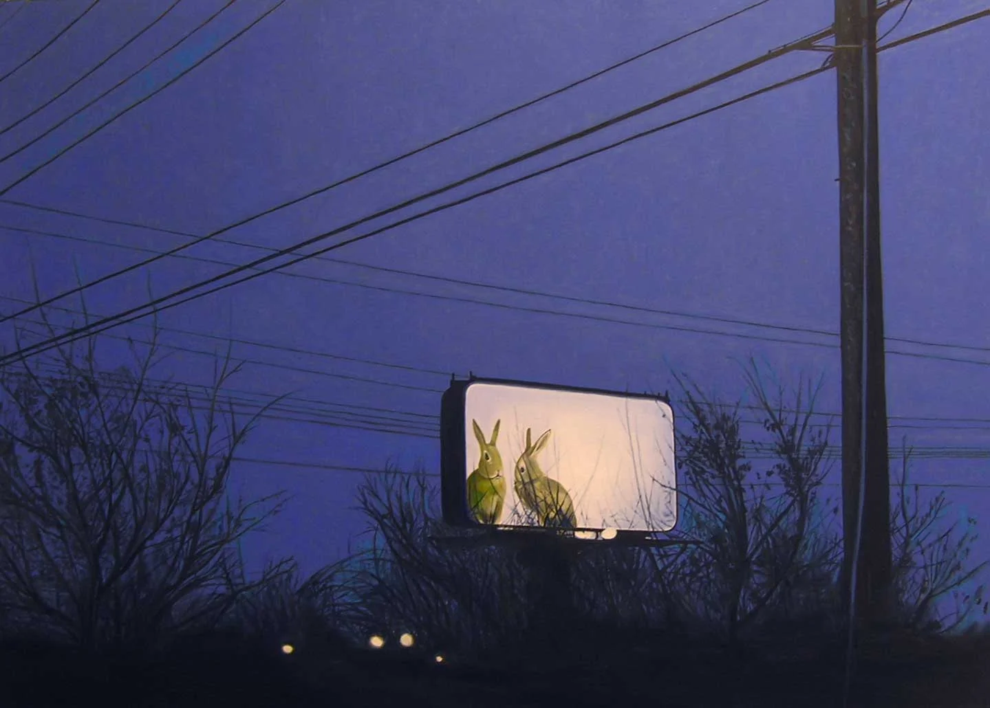 Rabbits