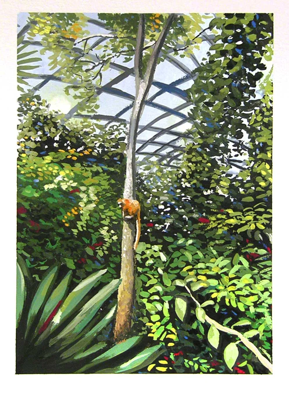 jungle1.jpg