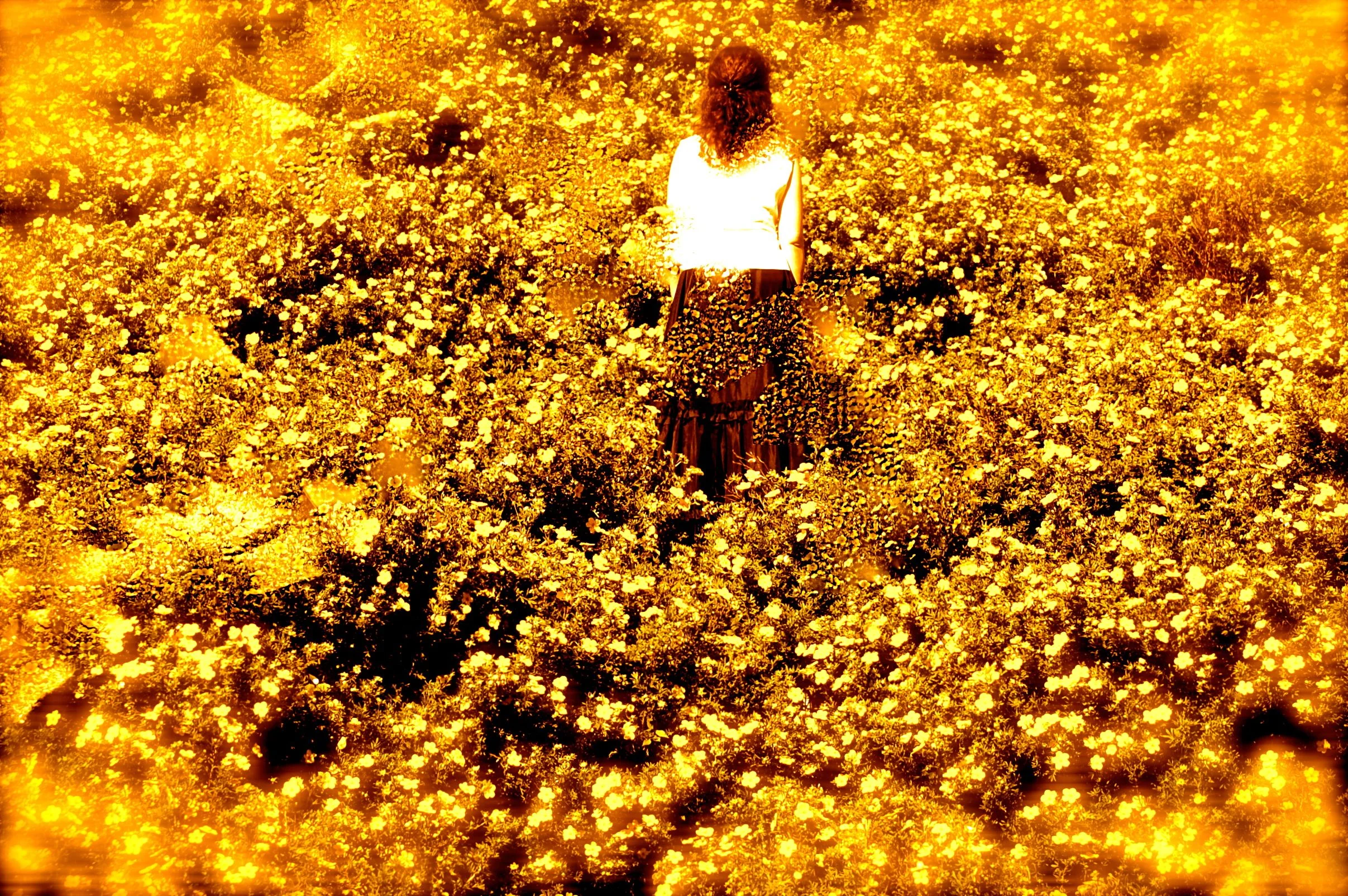  The Industria Tales video still (2012) © Sofia Varino