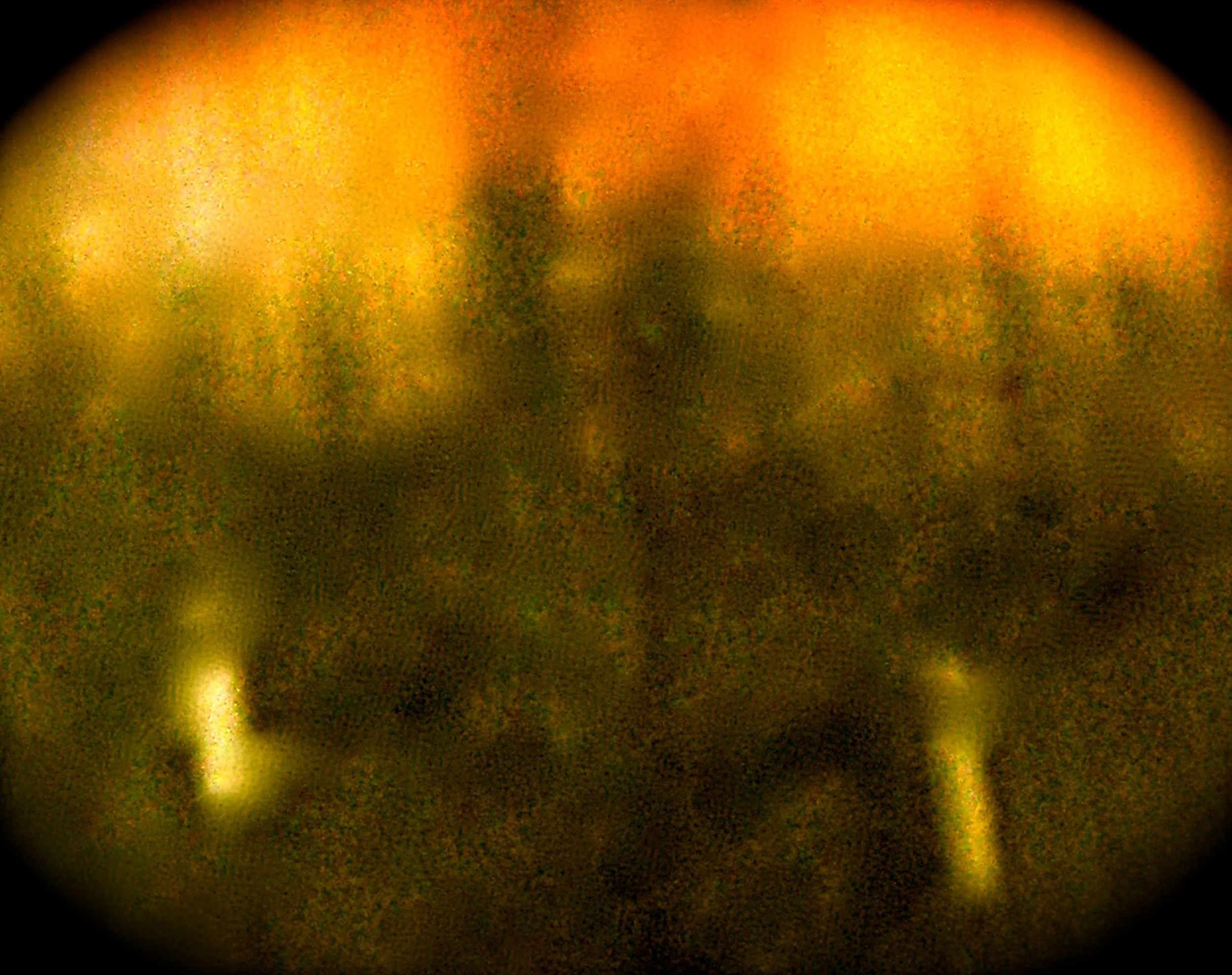 AMERICAN EYE © SOFIA VARINO 2013