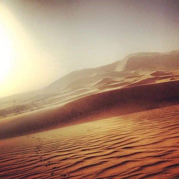 Morning in the Sahara