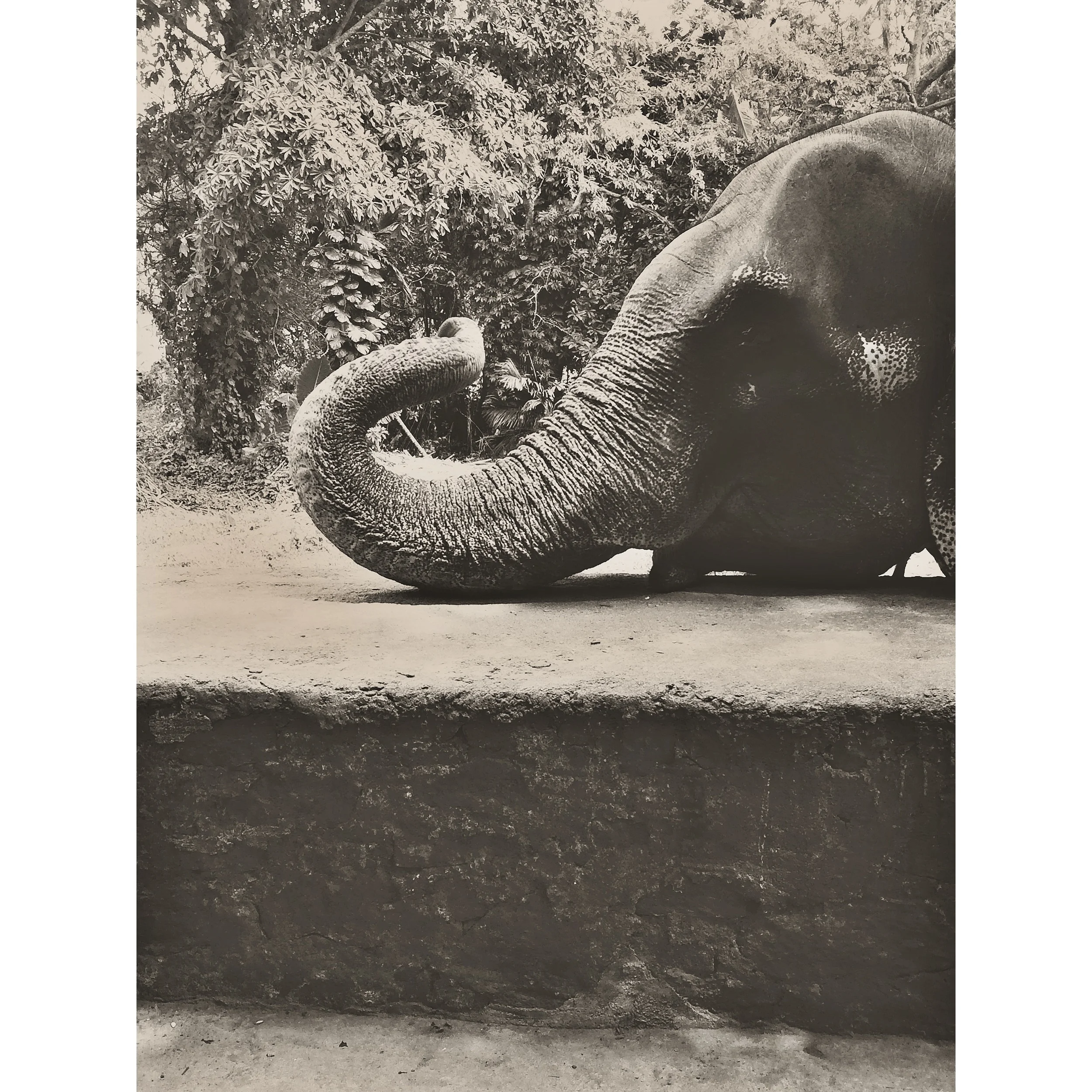 Travel Is Fatal To Narrow-Mindedness