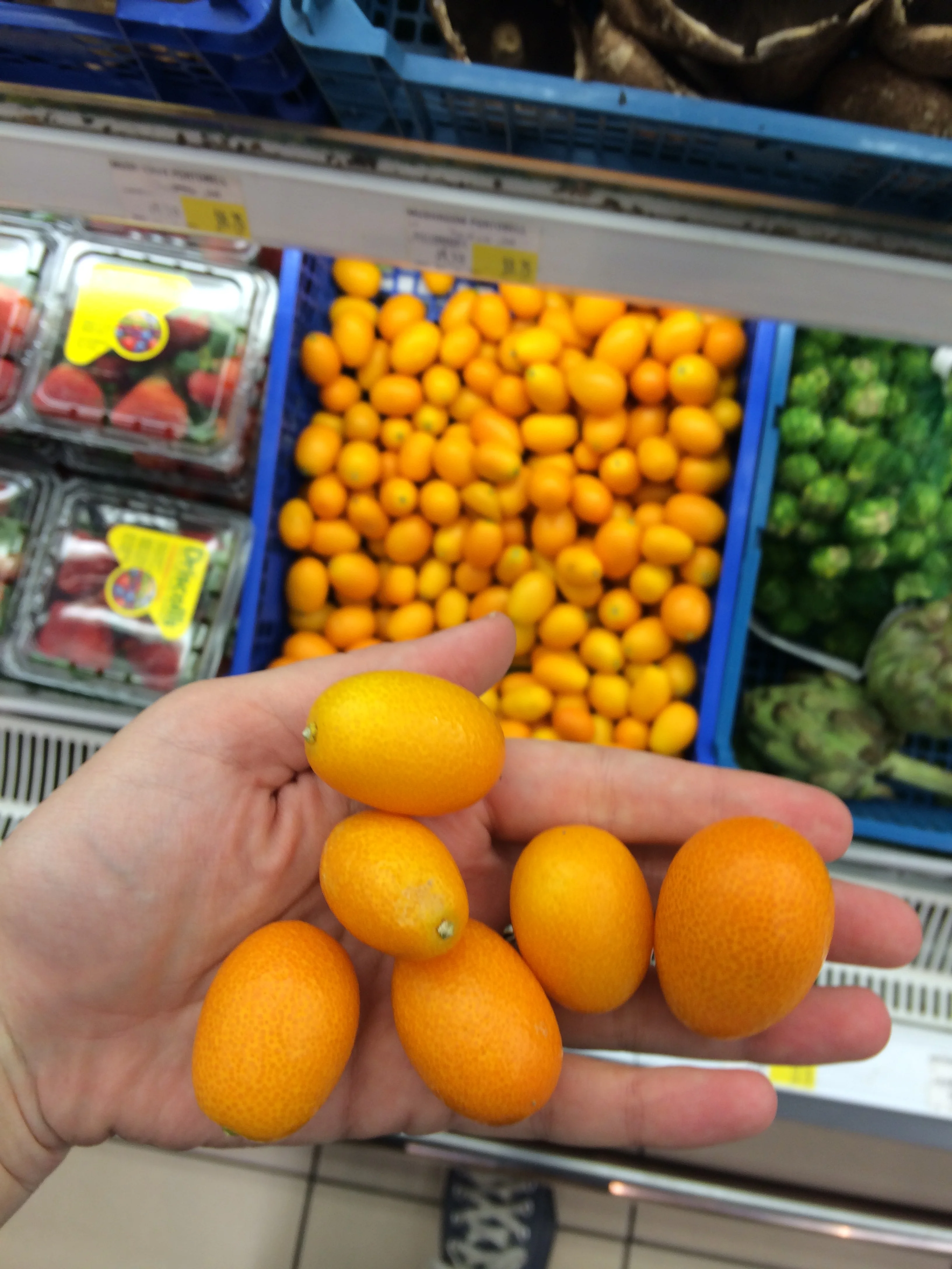 Weird Doha Finds Part 1