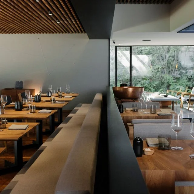 Pujol. The non-budget friendly but beautiful 13th best restaurant in the world. Mexico City, Mexico. image courtesy of opentable.com