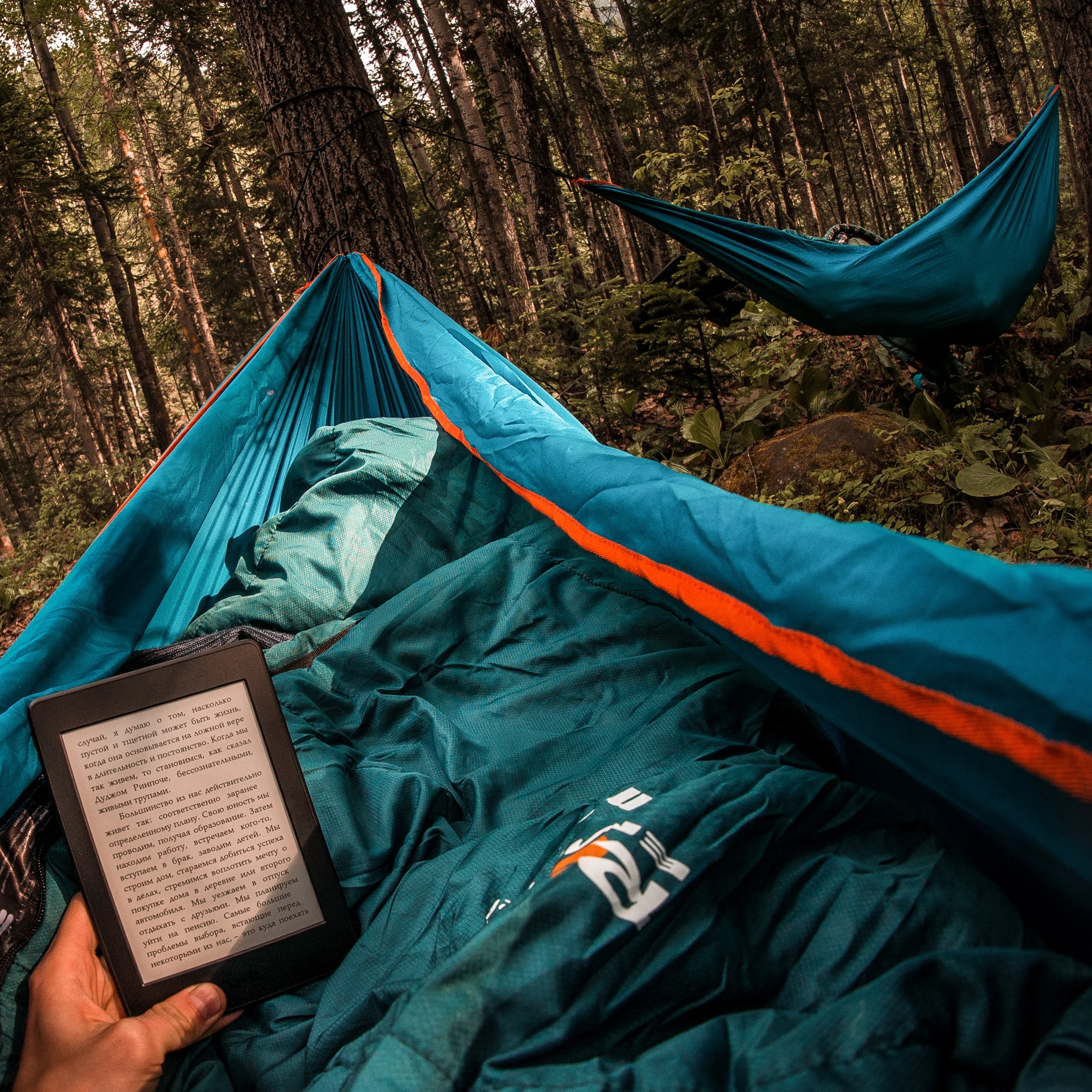 activity-adventure-camp-1590042.jpg