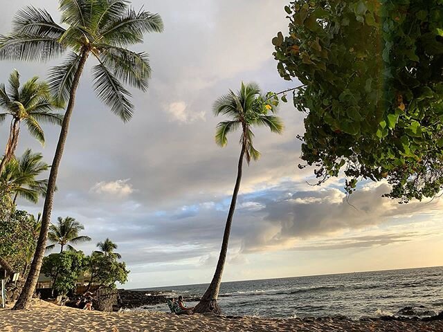 Keep the aloha. 🌴
