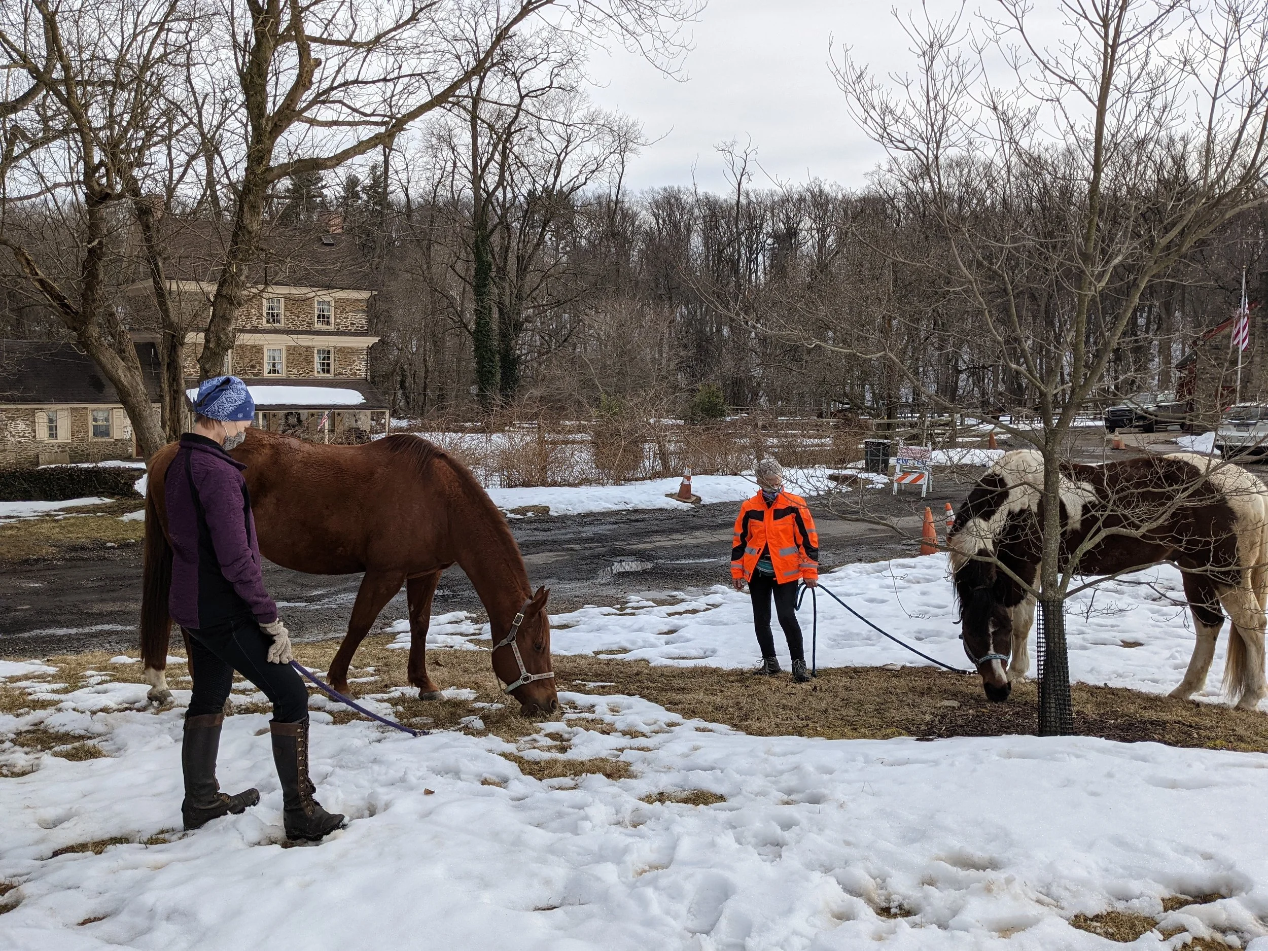 Photo Album — Monastery Stables & Community Grounds