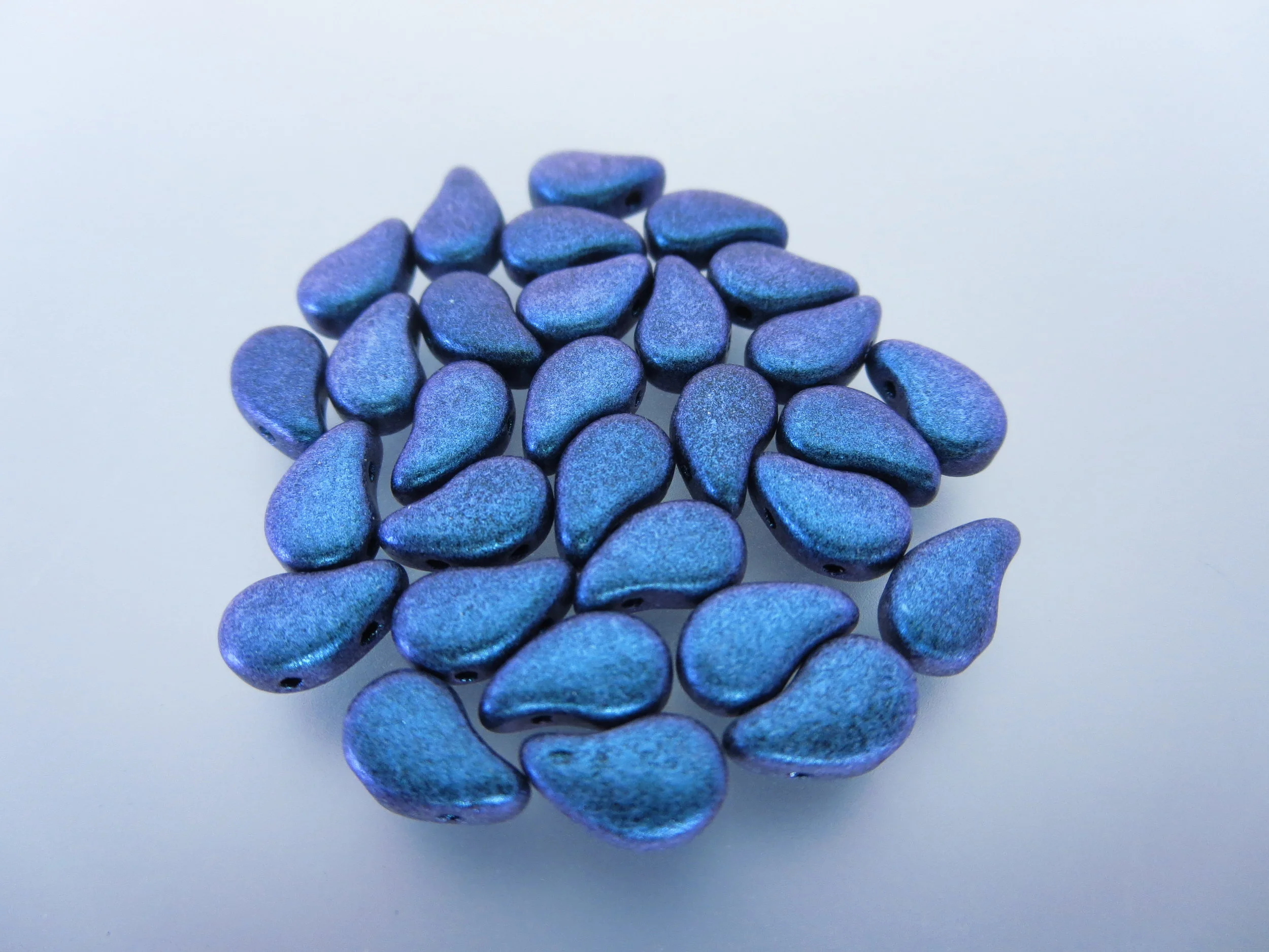 Polychrome Blueberry.JPG