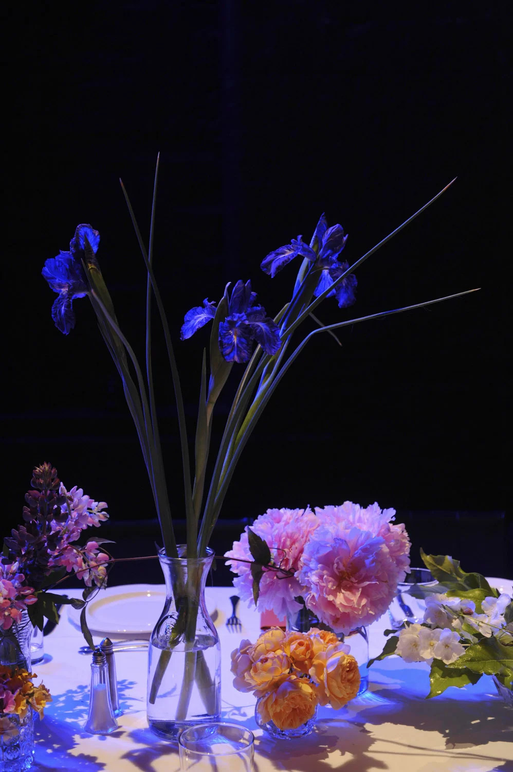 2013_07_06_albertdrive_sharedmeal-30_1.jpg