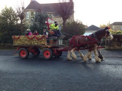 Whoa! Who are our new ‘neigh’-bours on Albert Drive?
