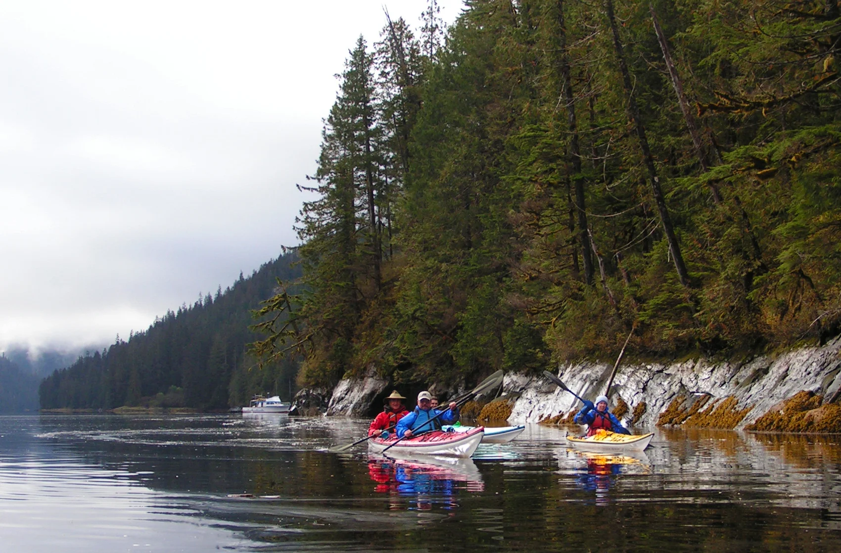 Sea Spree in Misty Fjords