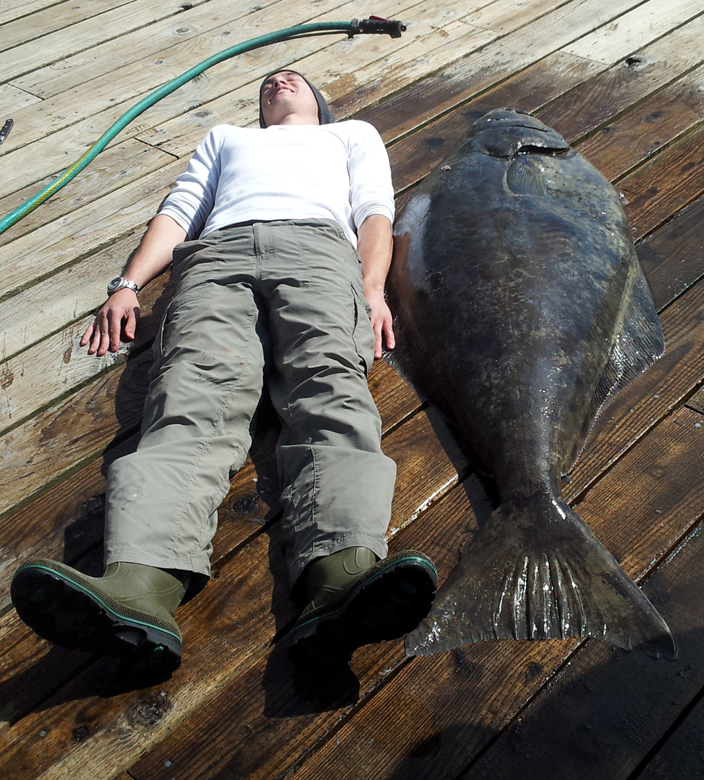  Our friends next door at Baranof Fishing Excursions caught this huge halibut. 