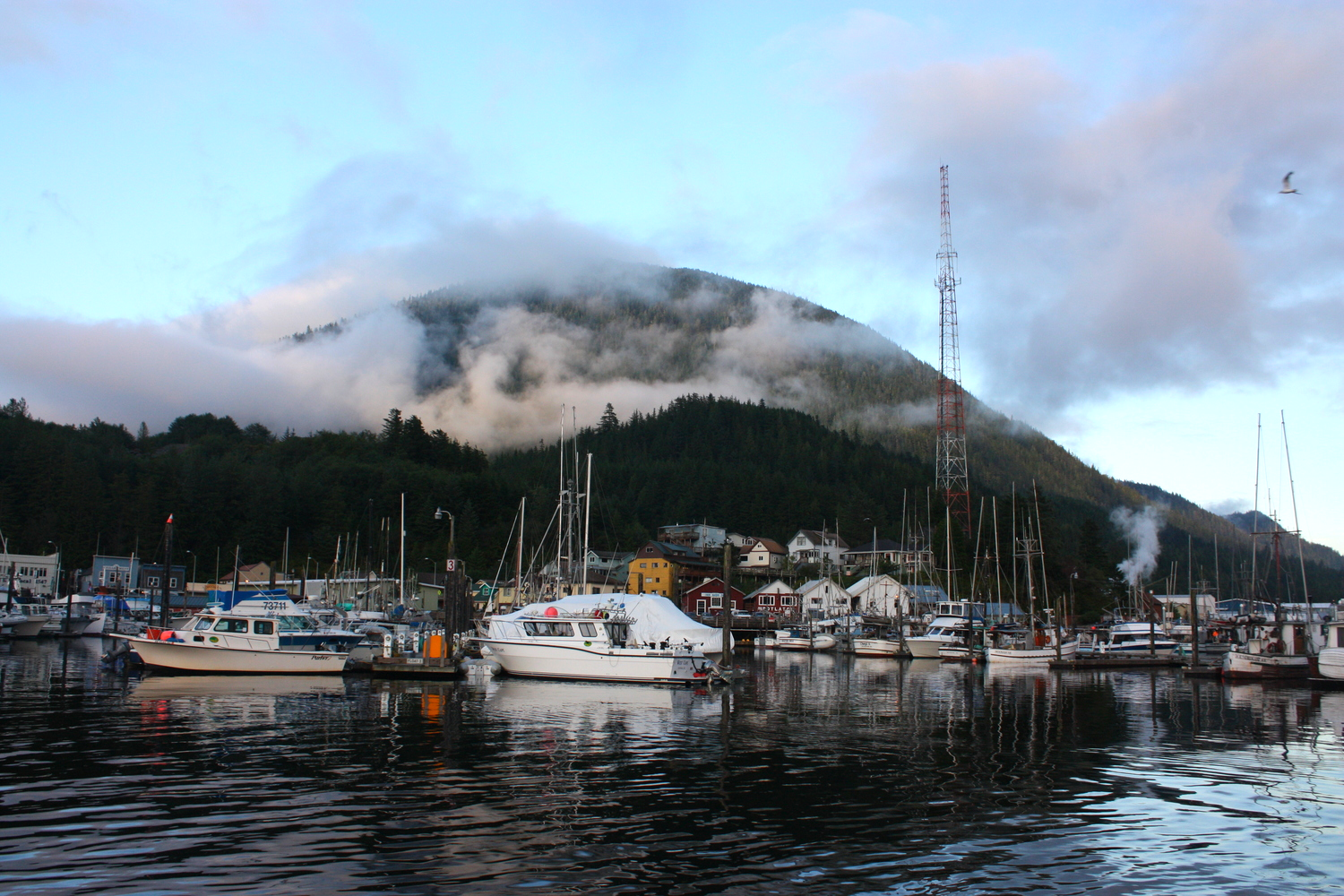  The view from our floating office in downtown Ketchikan. 