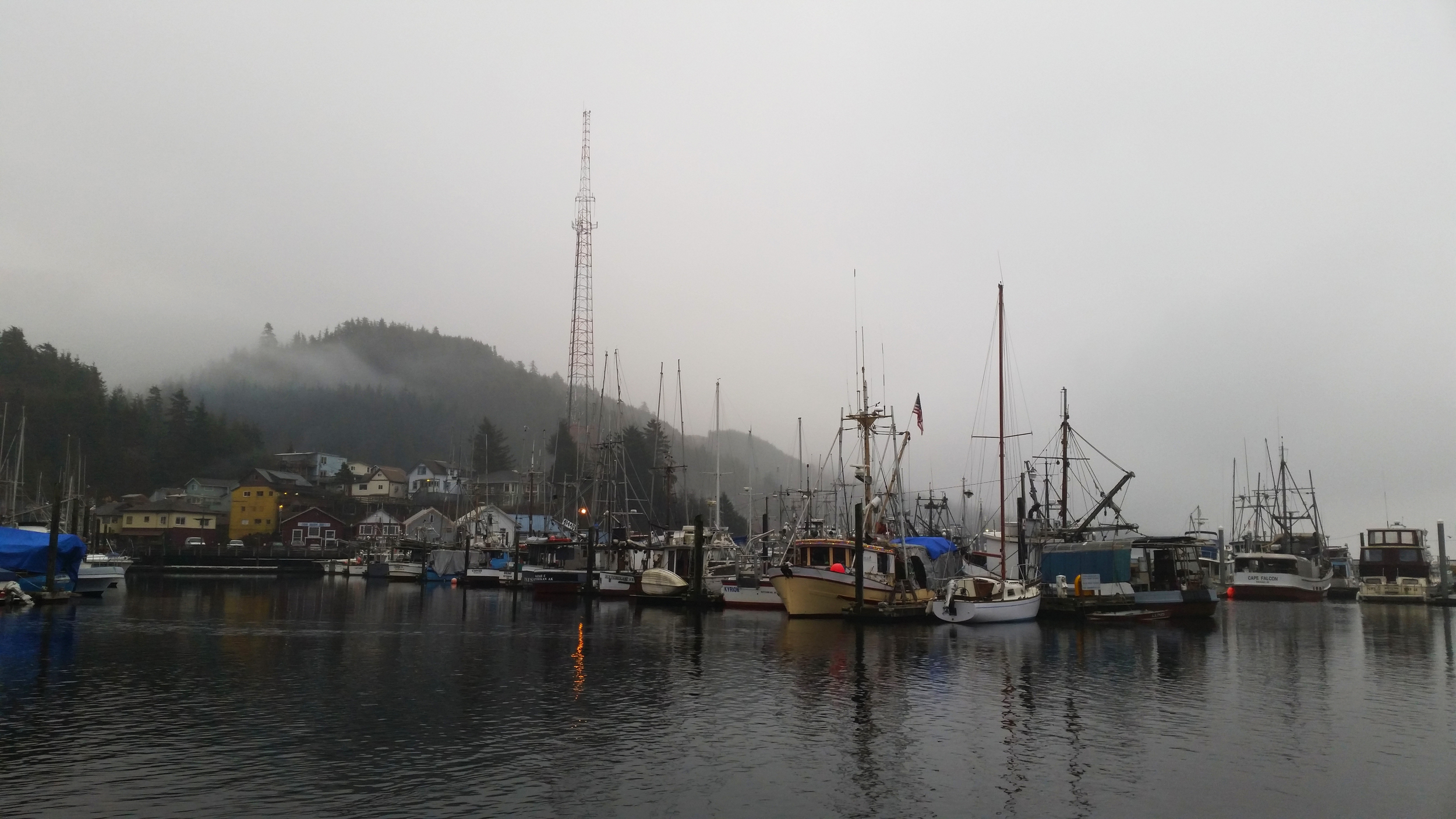  Deer Mountain disappears into the clouds on a misty day in Thomas Basin, Ketchikan, Alaska. 