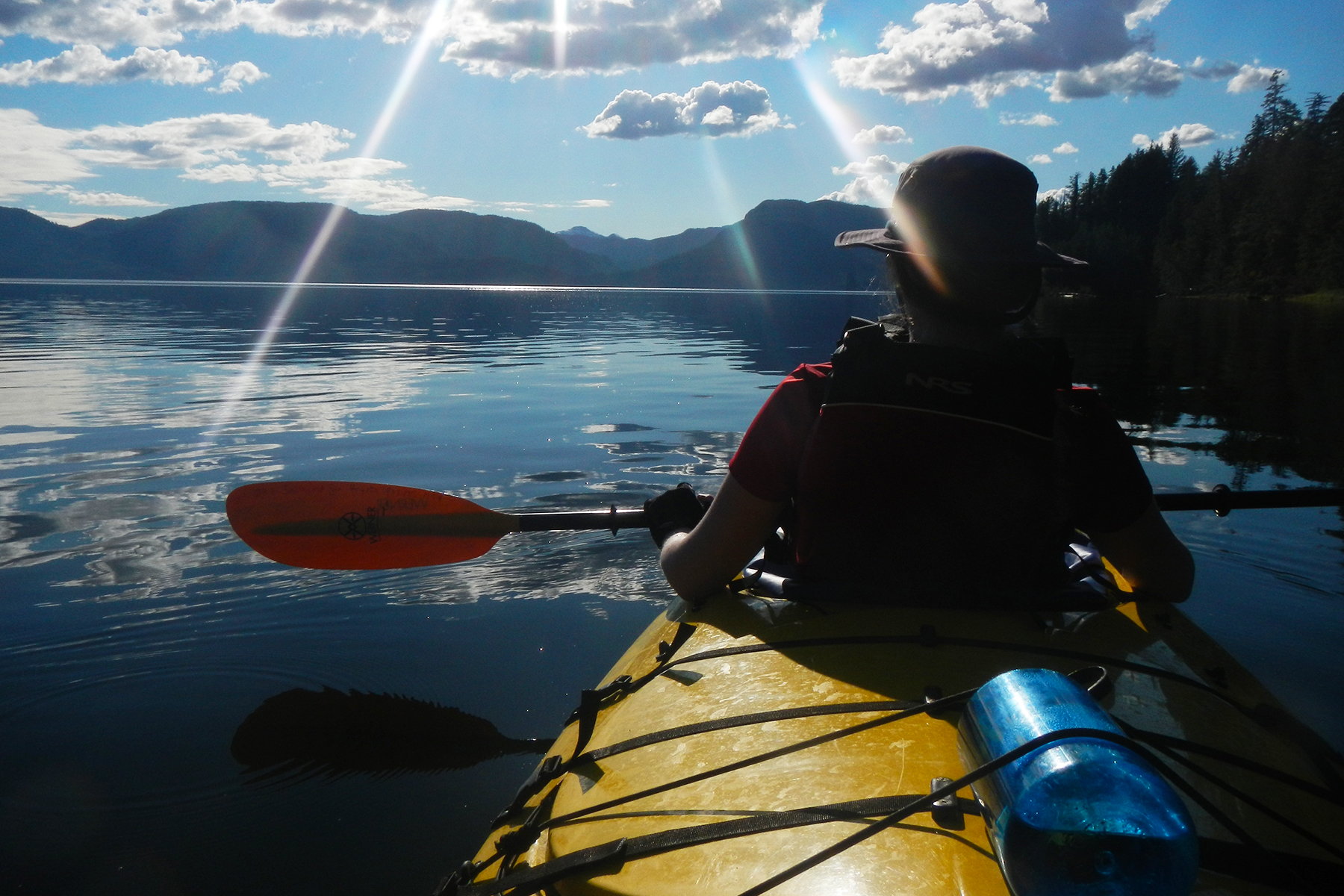  Sunshine in August. Kayaking the Misty Fjords National Monument. 