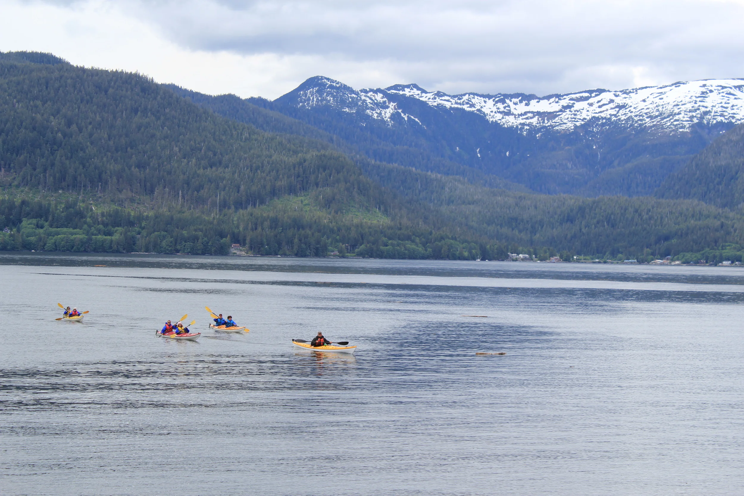 Master guide, Brandon, leads kayakers back into Orcas Cove in 2011.
