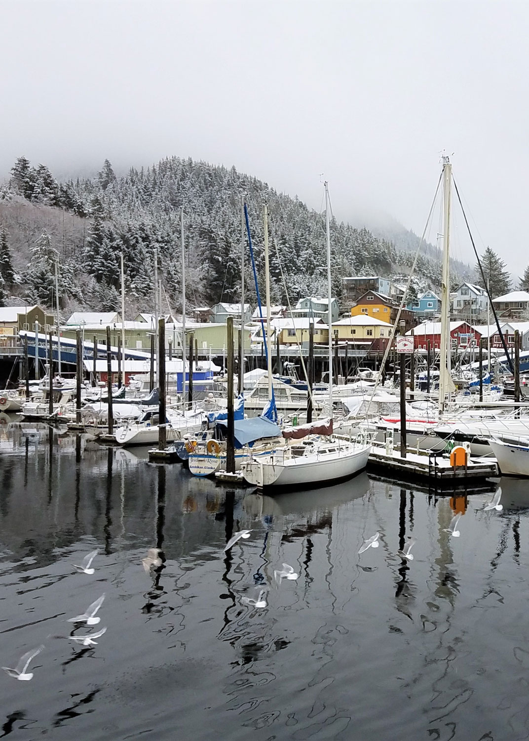  Always my favorite view of Ketchikan: Thomas Basin Boat Harbor and Deer Mountain hidden in the clouds above.  