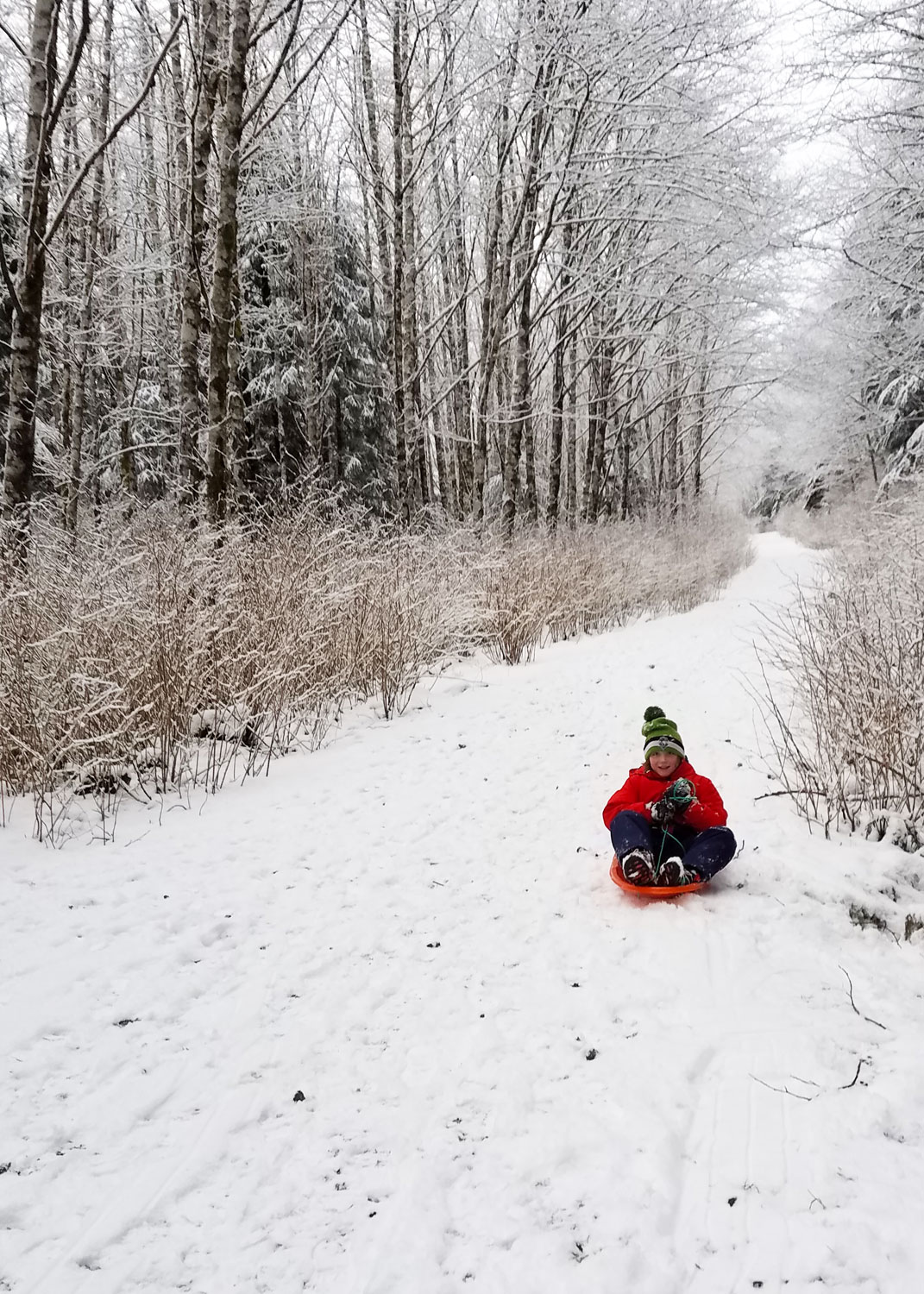  The best thing about snowy days in Ketchikan? Sledding! 