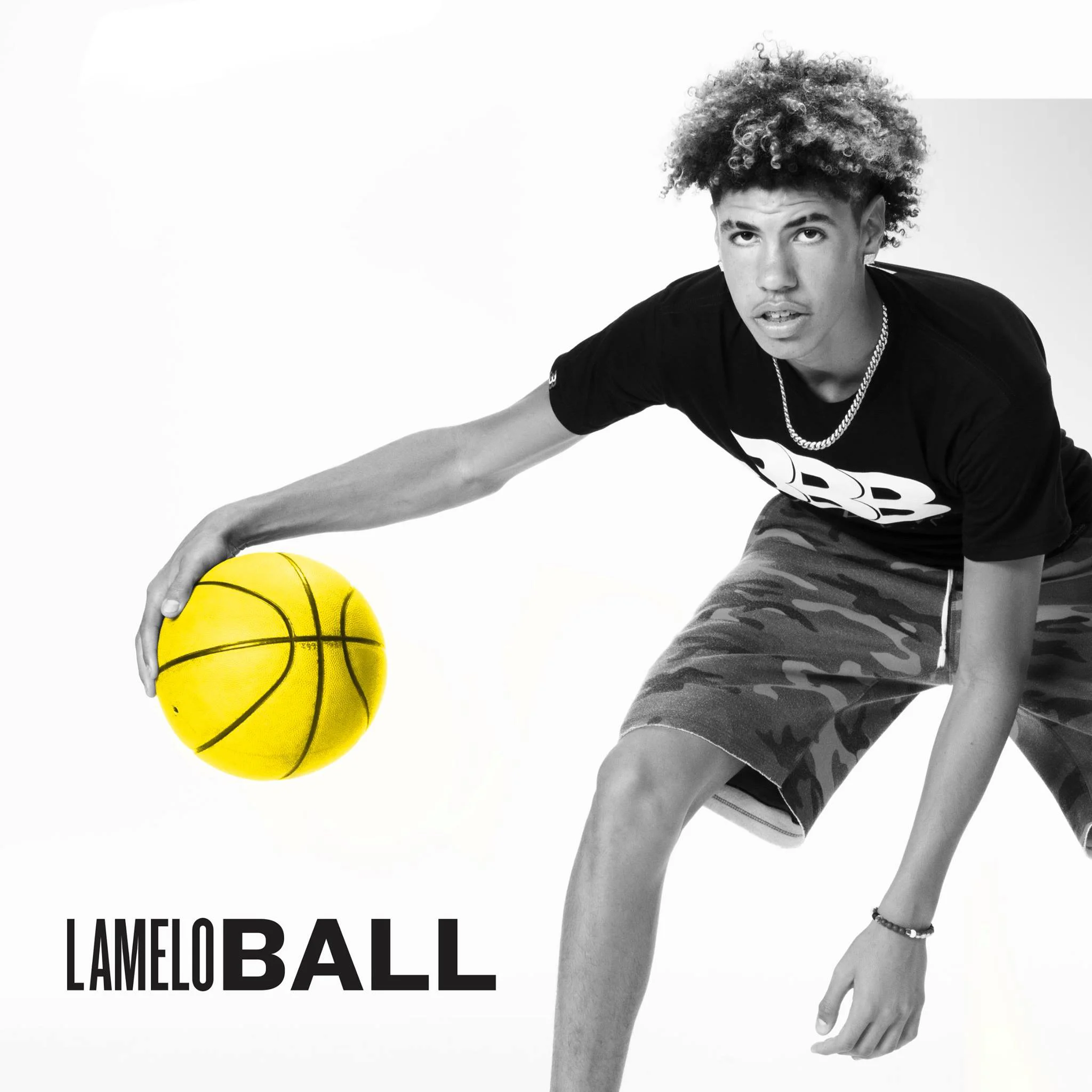Ball In The Family Lamelo Ball.jpg
